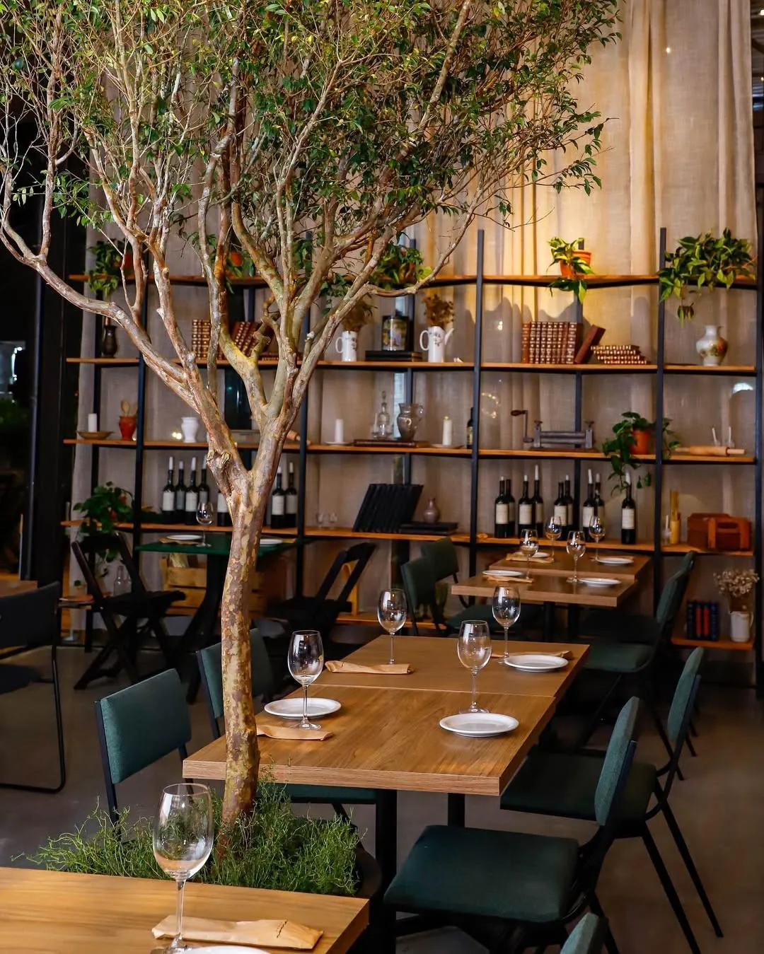 Olivia Cucina dining room with trees and wine cellar