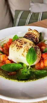 Burrata at Olivia Cucina
